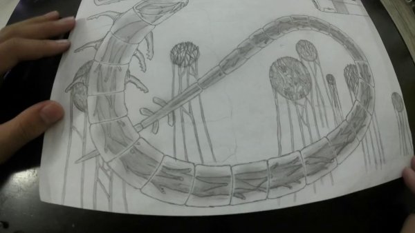 Призрачный Левиафан в Subnautica раскраска