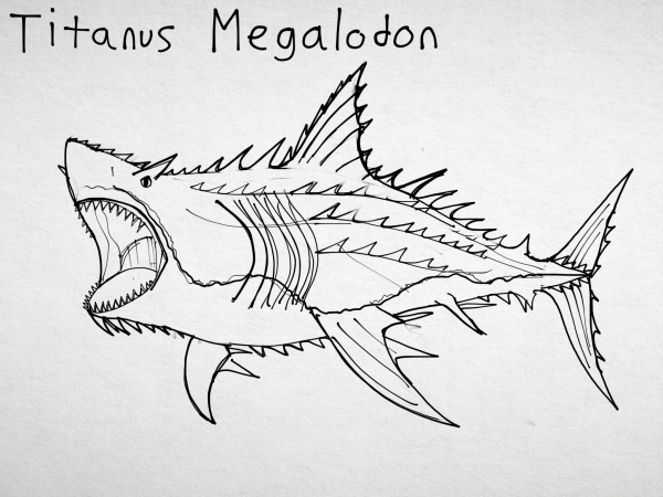 Раскраски для мальчиков МЕГАЛОДОН