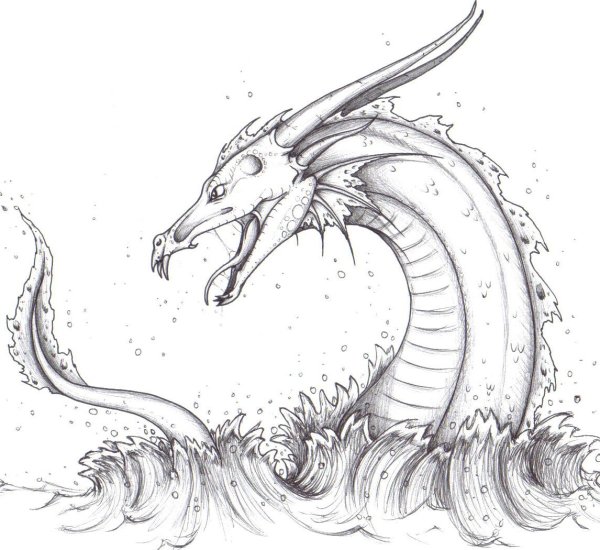 Раскраска морские чудовища