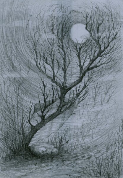 Туман простым карандашом