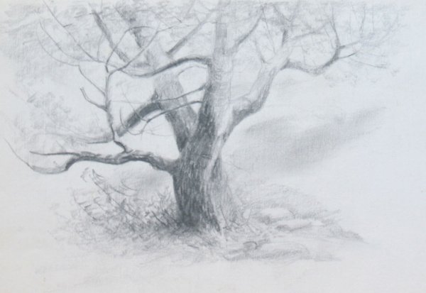 Мрачный пейзаж карандашом