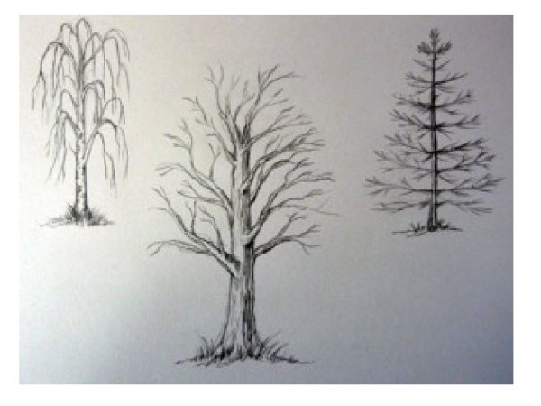 Последовательное рисование дерева