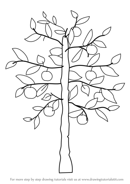 Деревья для рисования для детей