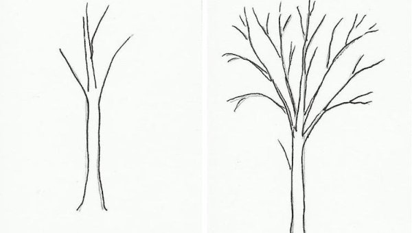 Поэтапное рисование яблока