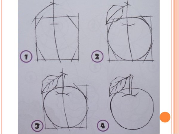 Рисование овощей и фруктов для детей
