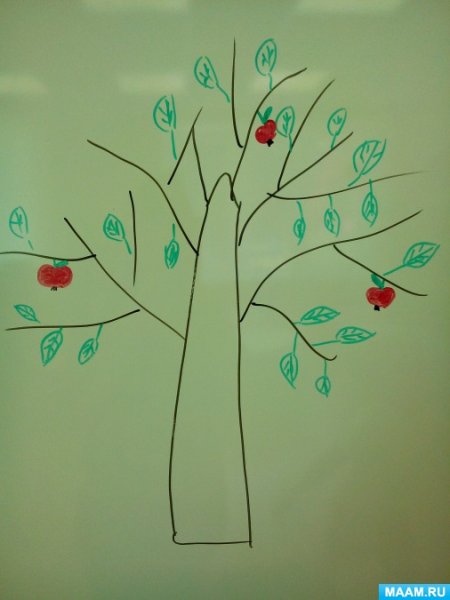 Этапы роста дерева яблони