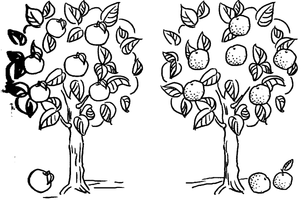 Зарисовки деревьев яблоня