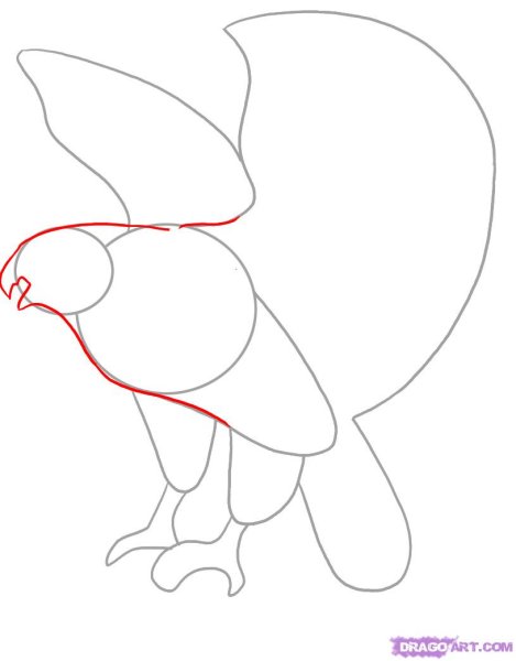 Пошаговое рисование орла