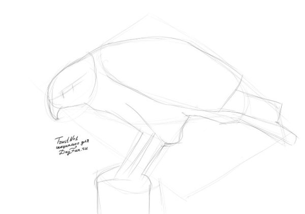 Нарисовать Сокола поэтапно