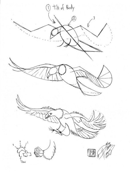 Поэтапное рисование птица в полете