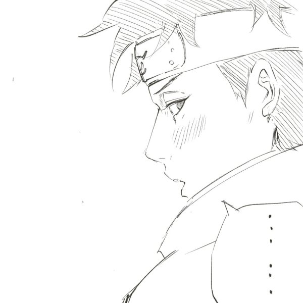 Шисуи по клеточкам