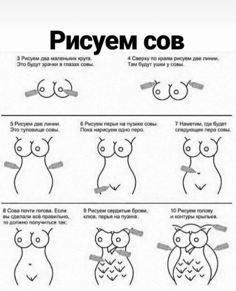 Кактнврисовать сову прикол