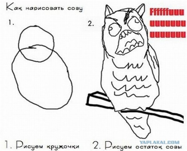 Как нарисовать сову Мем