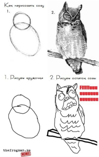 Рисуем сову прикол