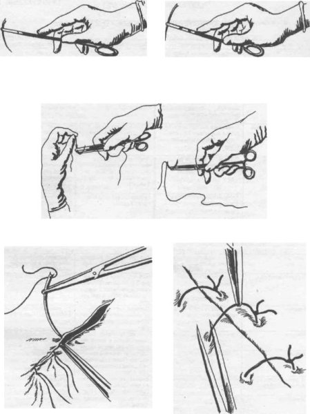 Туториалы по рисованию крови