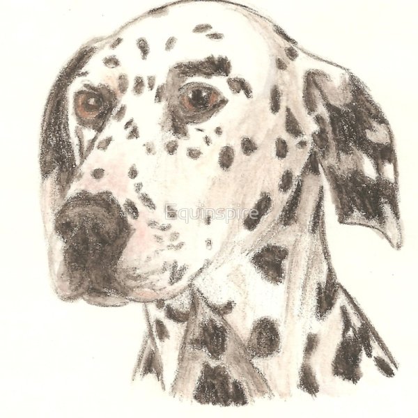 Далматин карандашом