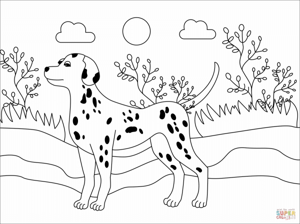 Раскраска щенка далматинца для детей
