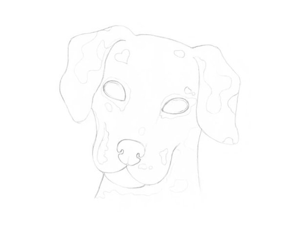 Поэтапное рисование далматинца