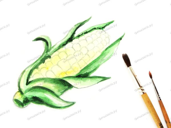 Как нарисовать кукурузу поэтапно