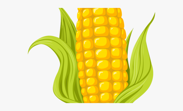 Рисуем кукурузу с детьми