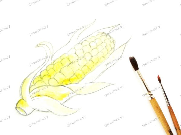 Кукуруза поэтапно