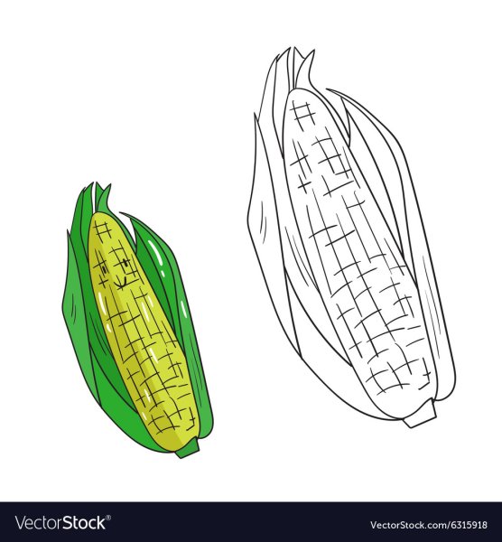 Как рисовать кукурузу легко