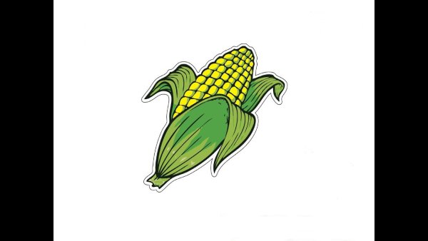 Кукуруза легкий рисунок
