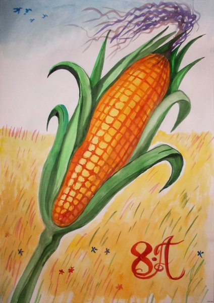 Кукуруза рисунок