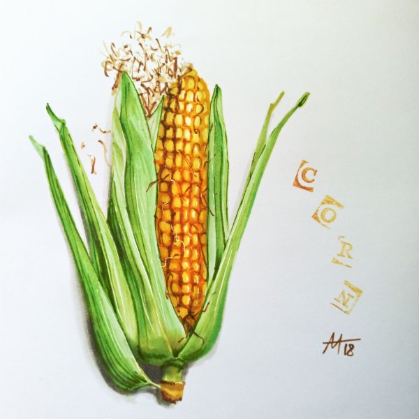 Рисование кукуруза