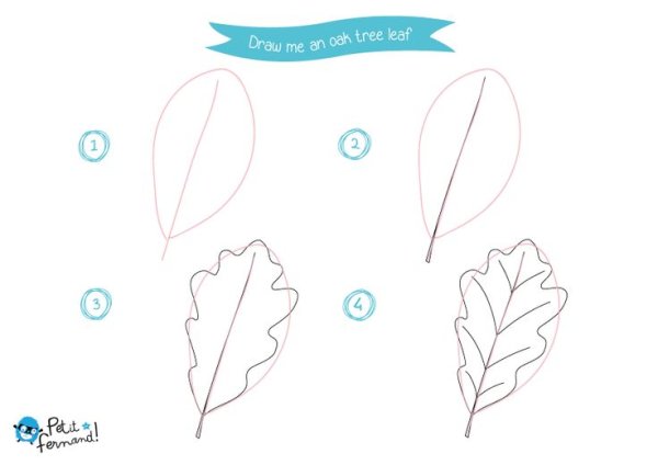 Поэтапное рисование листьев карандашом