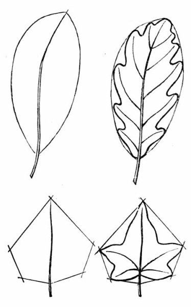 Рисование листьев сложной формы