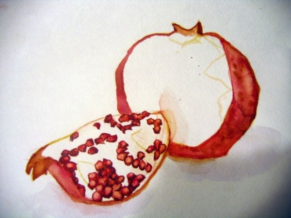 Гранат в разрезе карандашом