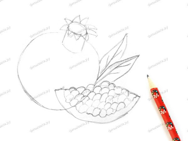 Гранат поэтапное рисование