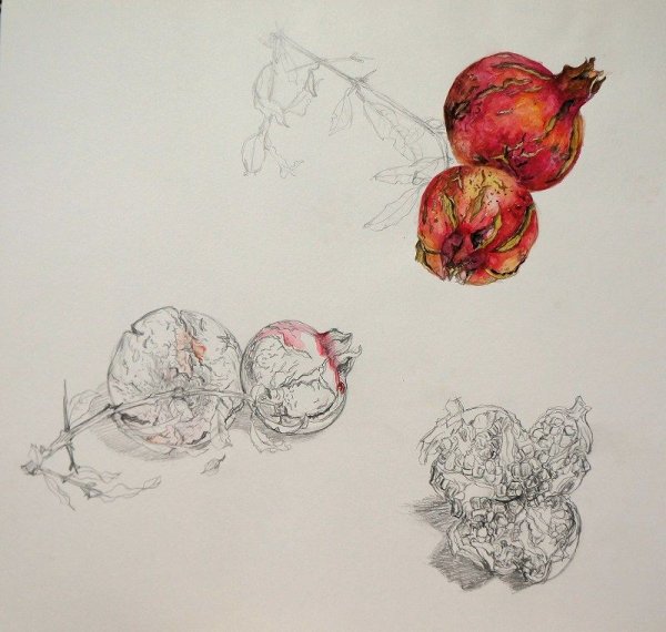 Гранат набросок