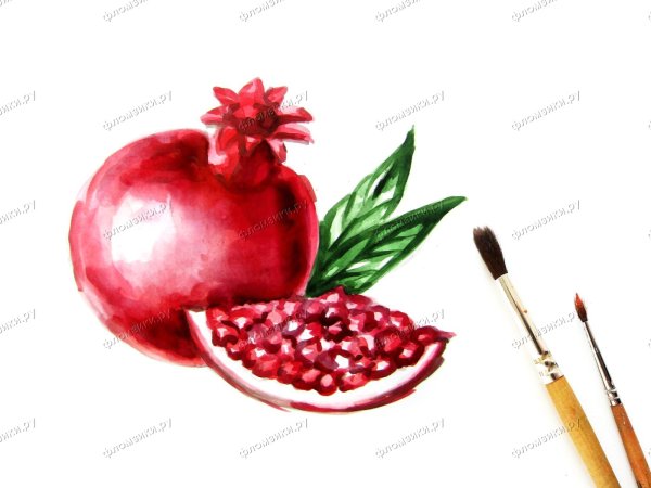 Рисование по этапно гранат