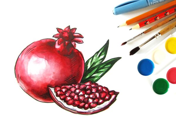 Как нарисовать гранат поэтапно