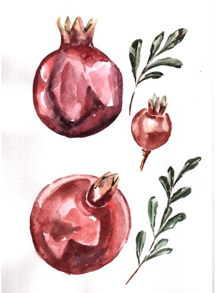 Гранат акварелью