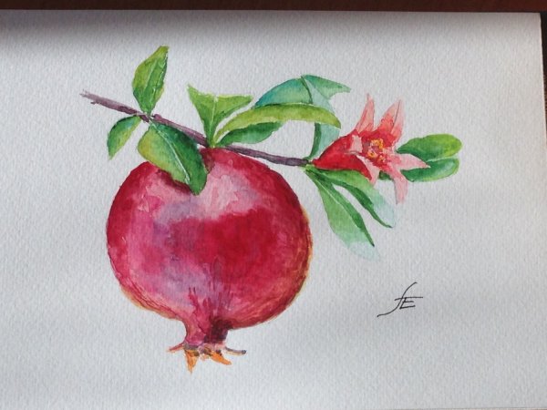 Акварельный гранат