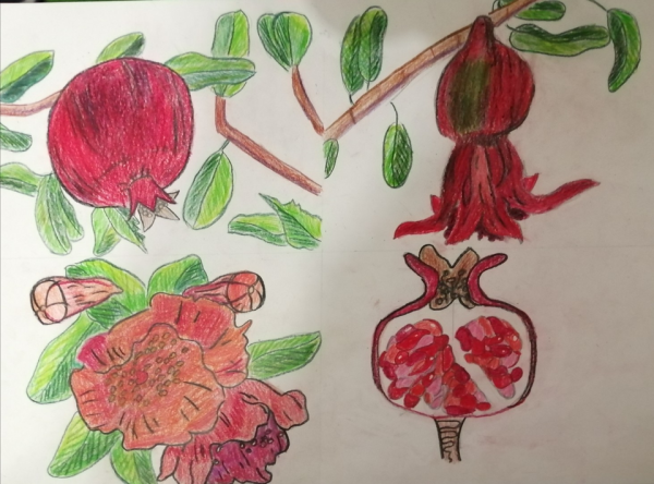 Гранат цветными карандашами