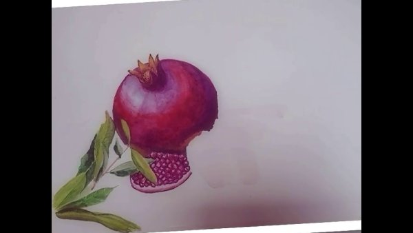 Гранат акварелью