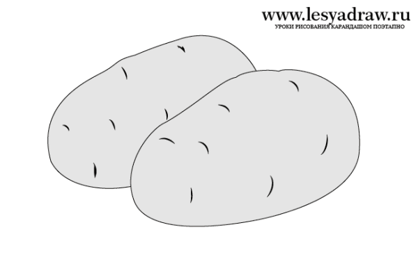 Картофель карандашом