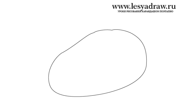 Картошка поэтапно карандашом