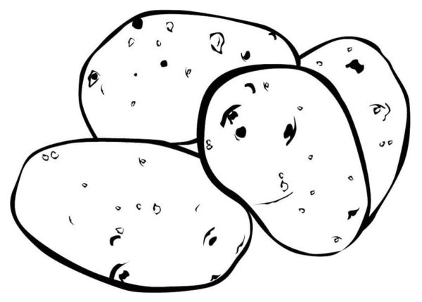 Картошка раскраска для детей