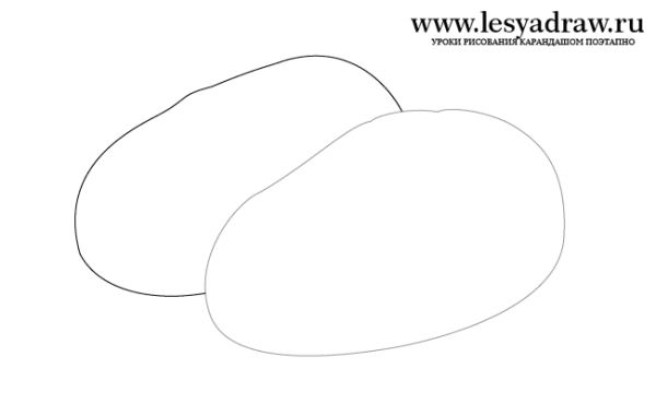 Поэтапное рисование картошки