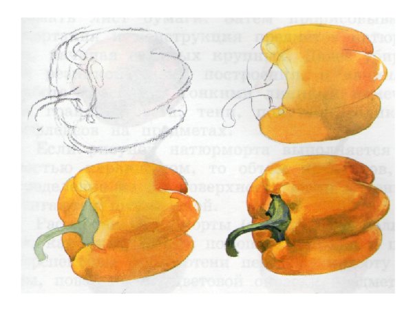 Овощи акварелью для начинающих