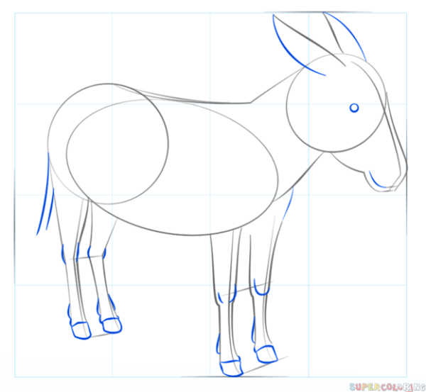 Ослик рисунок карандашом