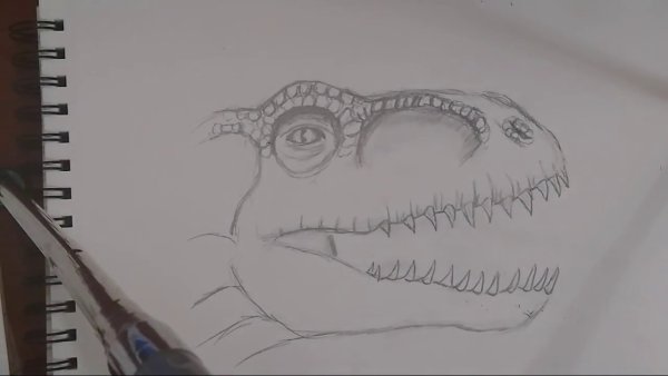 Индо Раптор обведен простым карандашом