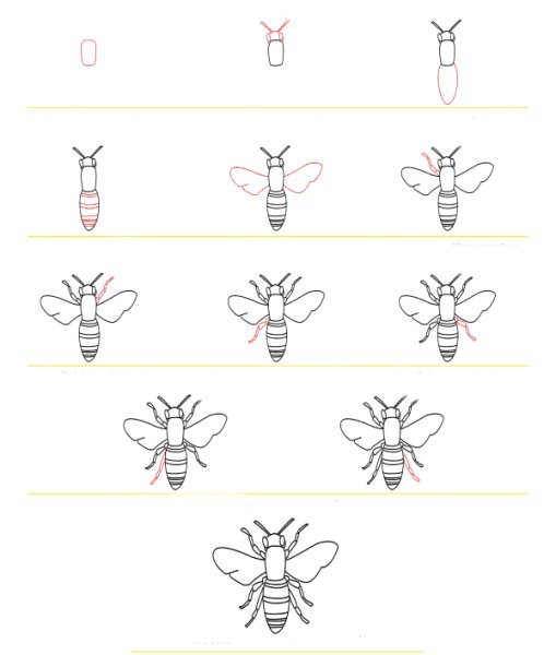 Как нарисовать осу