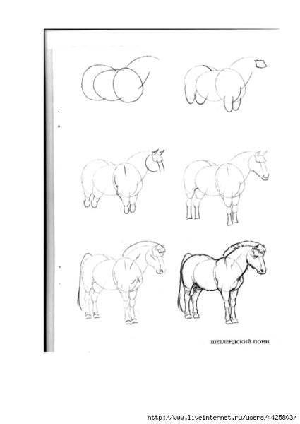 Схемы рисования для малышей