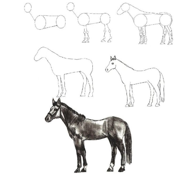 Схемы рисования для дошкольников